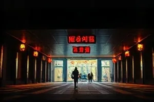 《玻璃与蝉》封面，玻璃杯中倒影与窗外的夏日树影